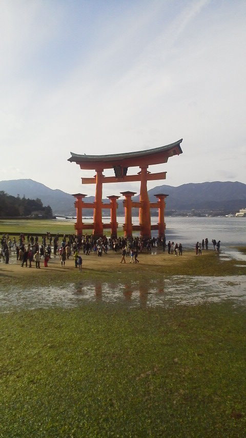 宮島の鳥居１.jpg