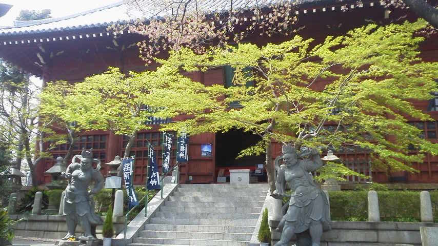 養玉院如来寺.jpg