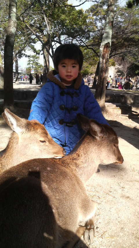 鹿と息子.jpg