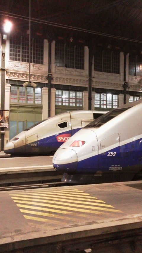 ＴＧＶ（横）.jpg