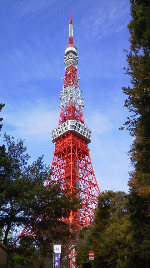 東京タワー（芝公園から）.jpg