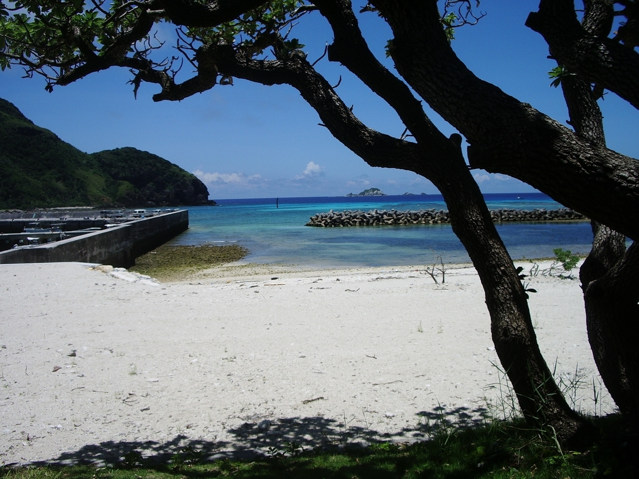 パーラーミヤマより（阿嘉島）.JPG