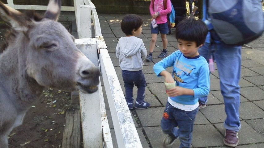 こどもの国動物園.jpg