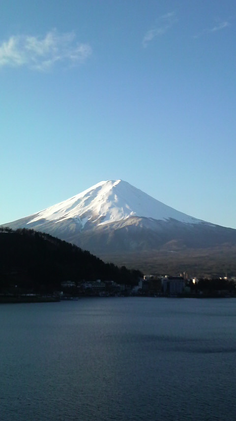 2009020107330000.jpg